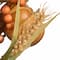 Autumn Pine Nut Spray With Pumpkin Gourds, 2ct.